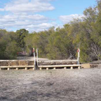 P1060028 (3) P1060028 (3)